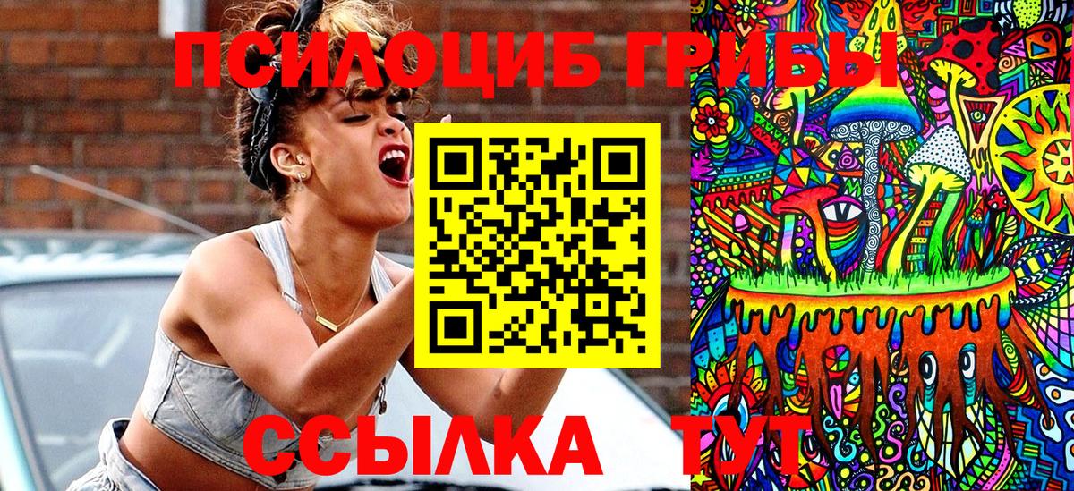 Галлюциногенные грибы Psilocybine cubensis Воркута