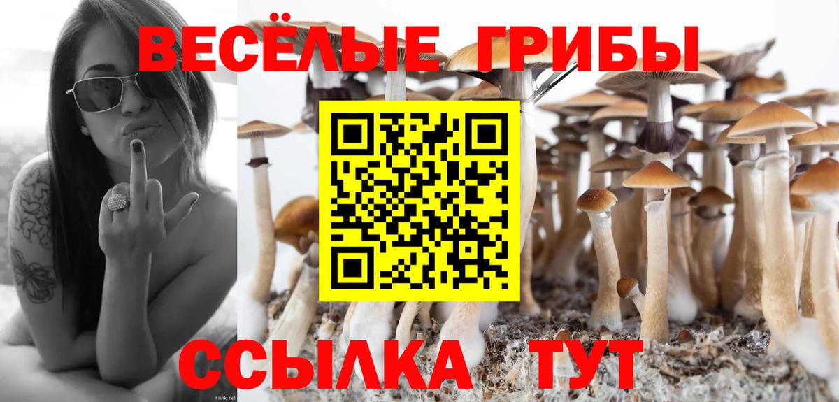 Воркута  продажа наркотиков  Вход с VPN  Псилоцибиновые грибы Cubensis  Галлюциногенные грибы Psilocybine cubensis 
